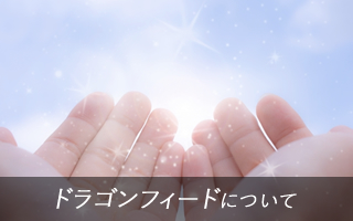 ドラゴンフィードについて