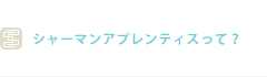シャーマンアプレンティスって？