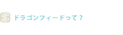 ドラゴンフィードって？