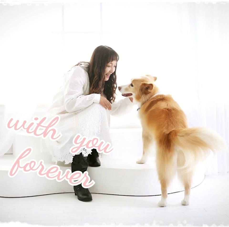 ここをクリックしてね